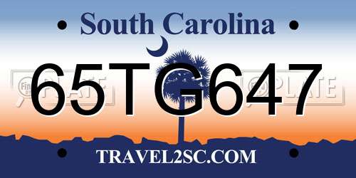 65TG647 South Carolina License Plate