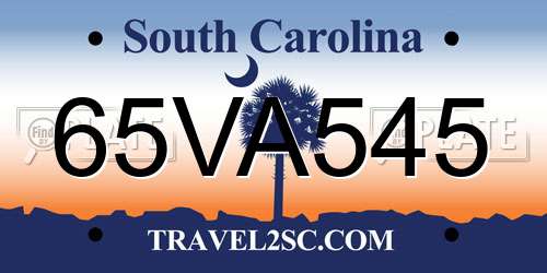 65VA545 South Carolina License Plate
