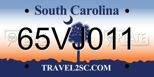 65VJ011 South Carolina License Plate