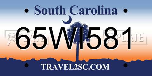 65WI581 South Carolina License Plate