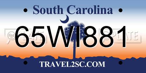 65WI881 South Carolina License Plate