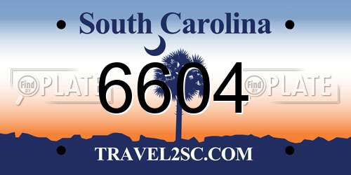 6604 South Carolina License Plate