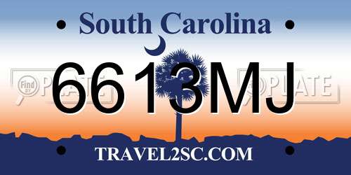 6613MJ South Carolina License Plate