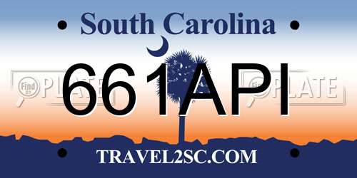 661API South Carolina License Plate