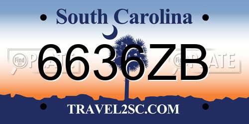 6636ZB South Carolina License Plate