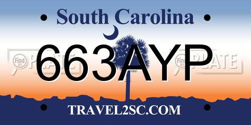 663AYP South Carolina License Plate