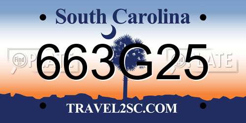 663G25 South Carolina License Plate
