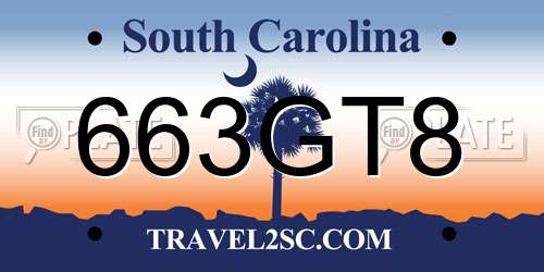 663GT8 South Carolina License Plate