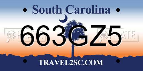 663GZ5 South Carolina License Plate