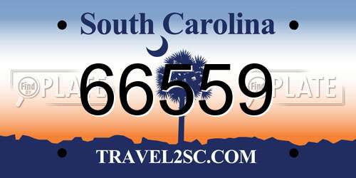 66559 South Carolina License Plate