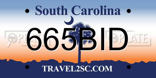 665BID South Carolina License Plate