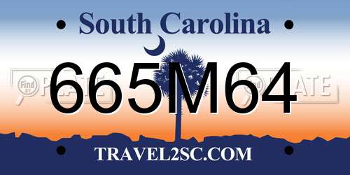 665M64 South Carolina License Plate