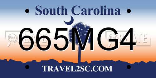 665MG4 South Carolina License Plate