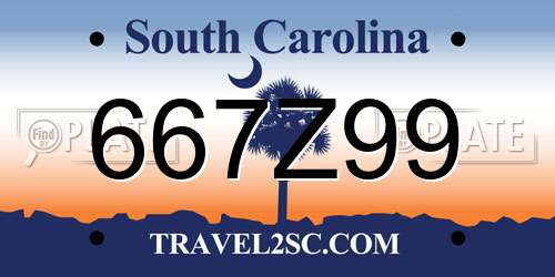 667Z99 South Carolina License Plate