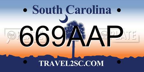 669AAP South Carolina License Plate