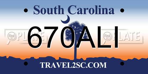 670ALI South Carolina License Plate