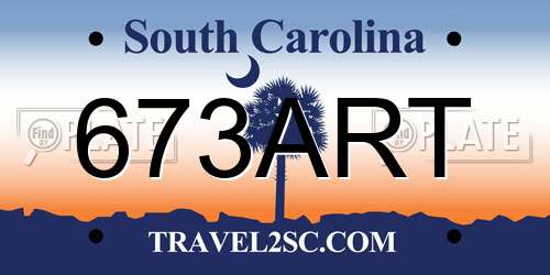 673ART South Carolina License Plate