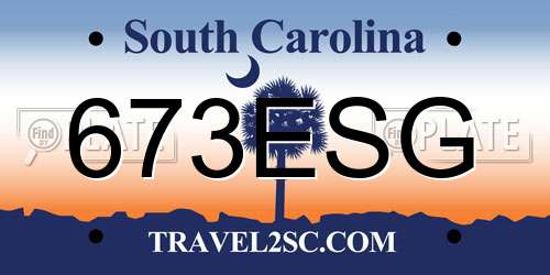 673ESG South Carolina License Plate