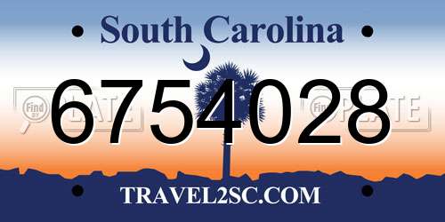 6754028 South Carolina License Plate