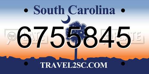 6755845 South Carolina License Plate