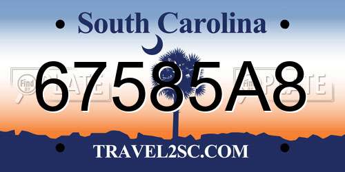 67585A8 South Carolina License Plate
