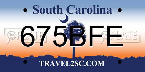 675BFE South Carolina License Plate