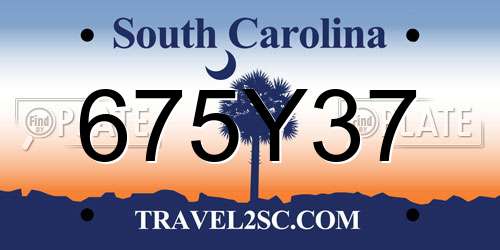 675Y37 South Carolina License Plate