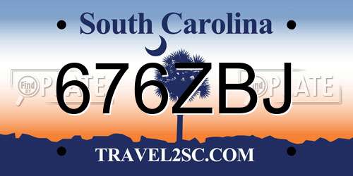 676ZBJ South Carolina License Plate