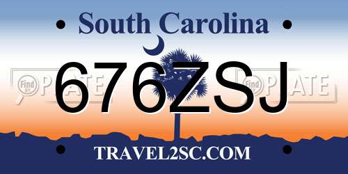 676ZSJ South Carolina License Plate