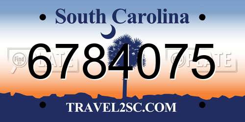 6784075 South Carolina License Plate