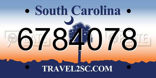 6784078 South Carolina License Plate