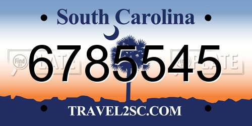 6785545 South Carolina License Plate