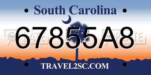 67855A8 South Carolina License Plate