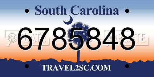 6785848 South Carolina License Plate