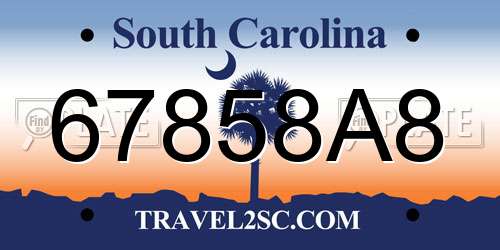 67858A8 South Carolina License Plate