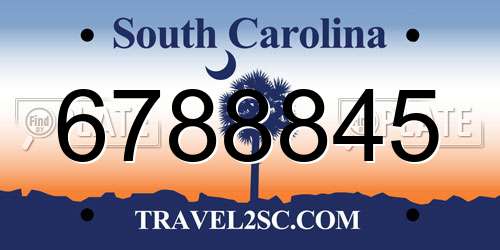 6788845 South Carolina License Plate