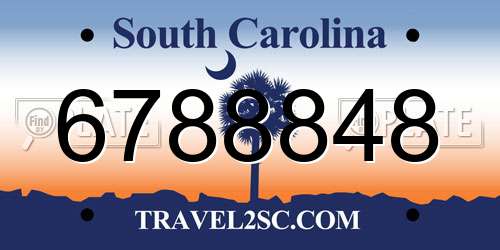 6788848 South Carolina License Plate