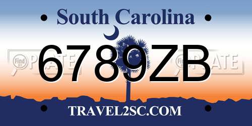 6789ZB South Carolina License Plate