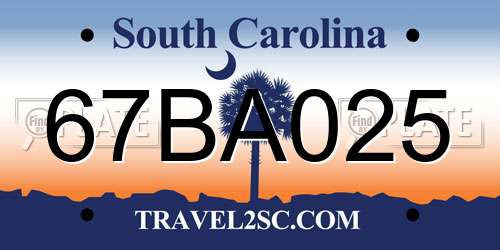 67BA025 South Carolina License Plate