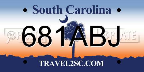 681ABJ South Carolina License Plate