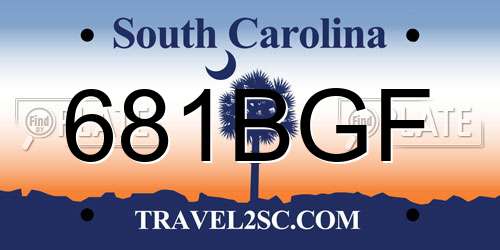 681BGF South Carolina License Plate