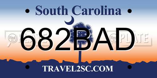 682BAD South Carolina License Plate