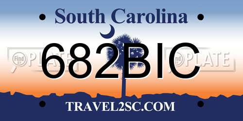 682BIC South Carolina License Plate