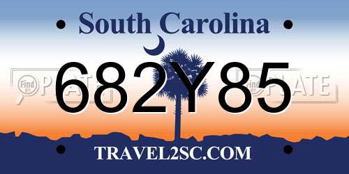 682Y85 South Carolina License Plate