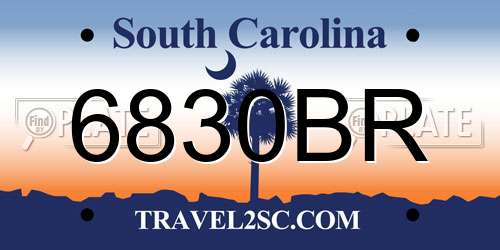 6830BR South Carolina License Plate