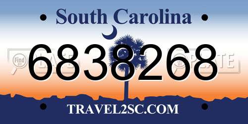 6838268 South Carolina License Plate