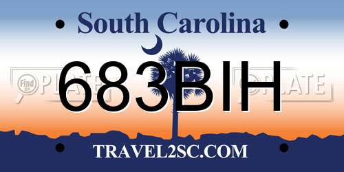 683BIH South Carolina License Plate