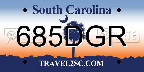 685DGR South Carolina License Plate