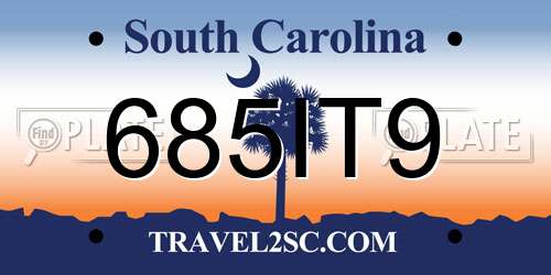 685IT9 South Carolina License Plate