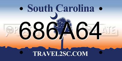 686A64 South Carolina License Plate